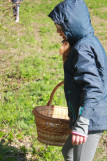 Chasse à l'oeuf