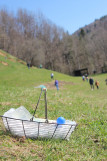 Chasse à l'oeuf