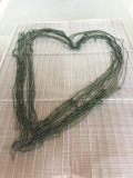Spiruline des Bauges
