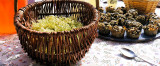 Cuisine des plantes sauvages en Savoie