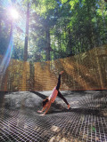 Yoga aérien