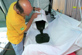 Spiruline des Bauges
