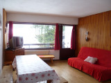 Avec balcon et vue sur les pistes