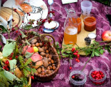 Dégustation aux plantes sauvages comestibles des Bauges