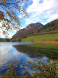 Balade botanique d'automne au lac de La Thuile
