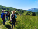 Balade botanique Bauges Savoie