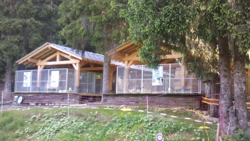 images_sandra_889.jpg