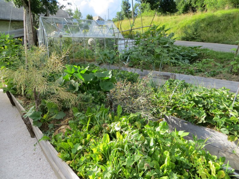 Visite du jardin au refuge des Graines