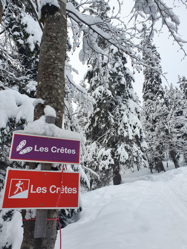 Xpérience ski de rando