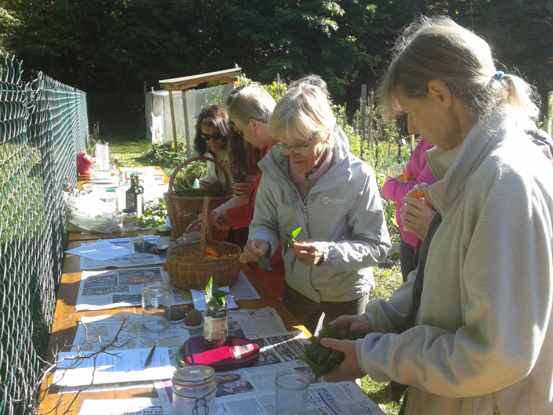 atelier plantes