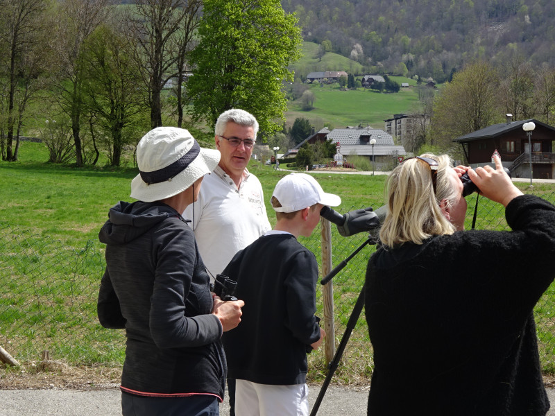 Observation ornithologique