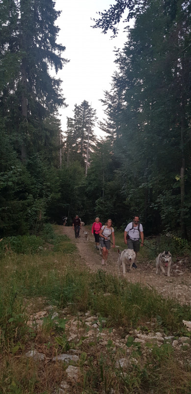 cani-rando