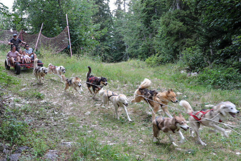 cani-Kart
