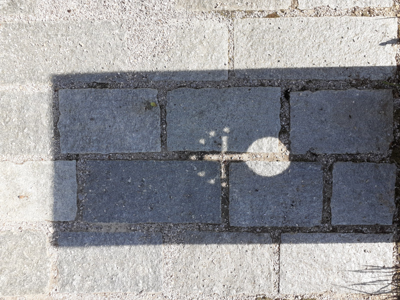 Symbole des chartreux