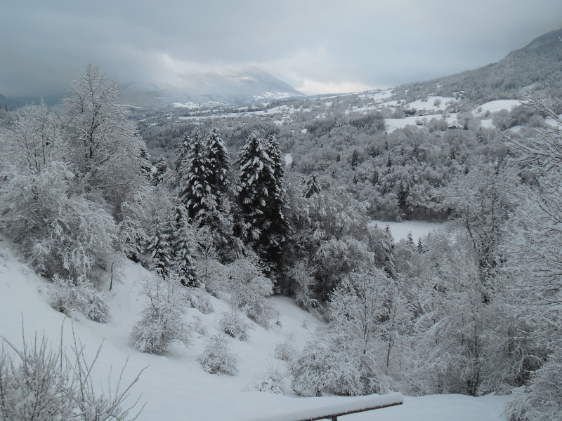 Vue depuis la terrasse en hiver