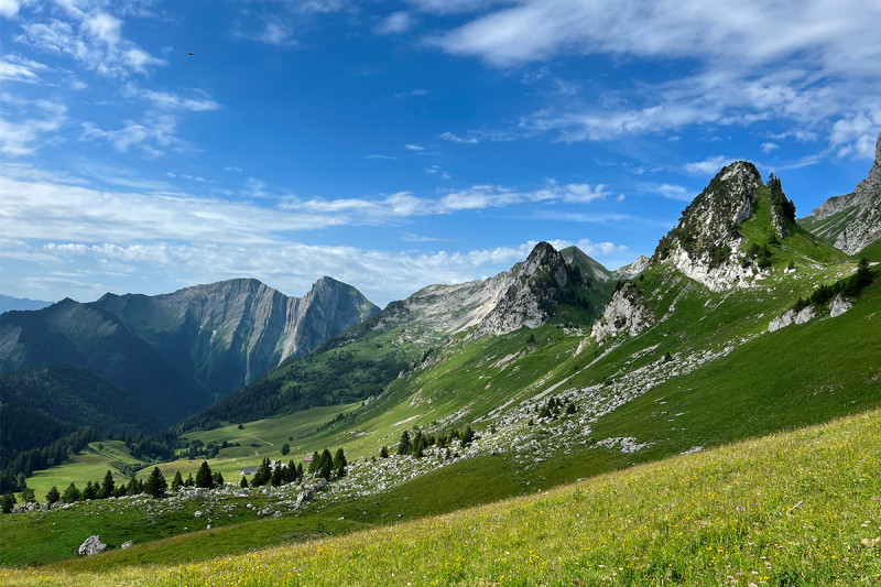 Col d'Orgeval