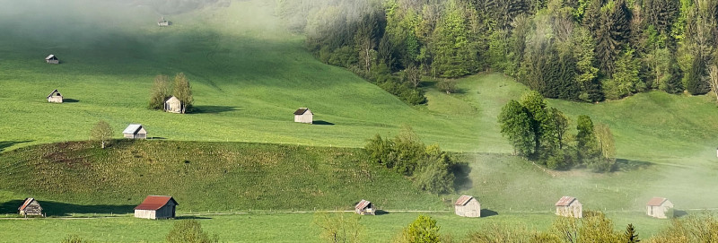 Tour des Bauges en liberté avec Terres d'altitude