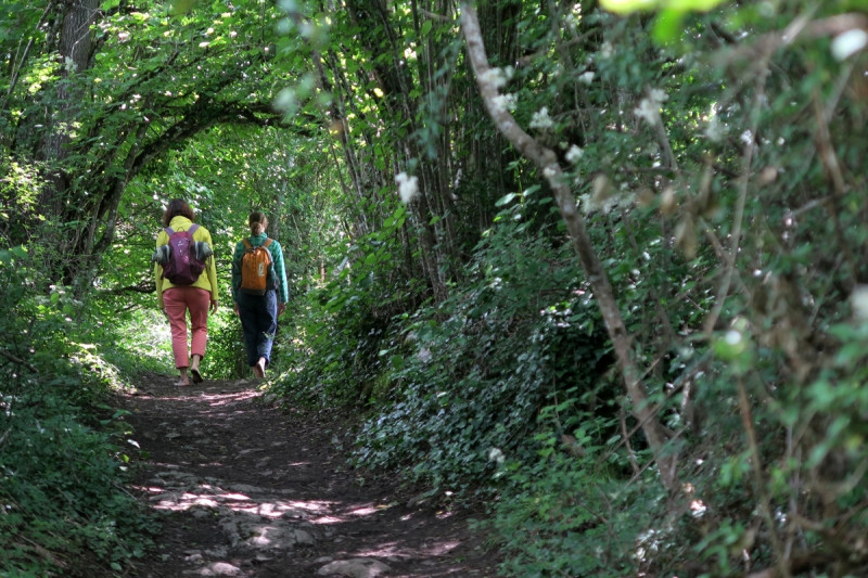 Bain de forêt