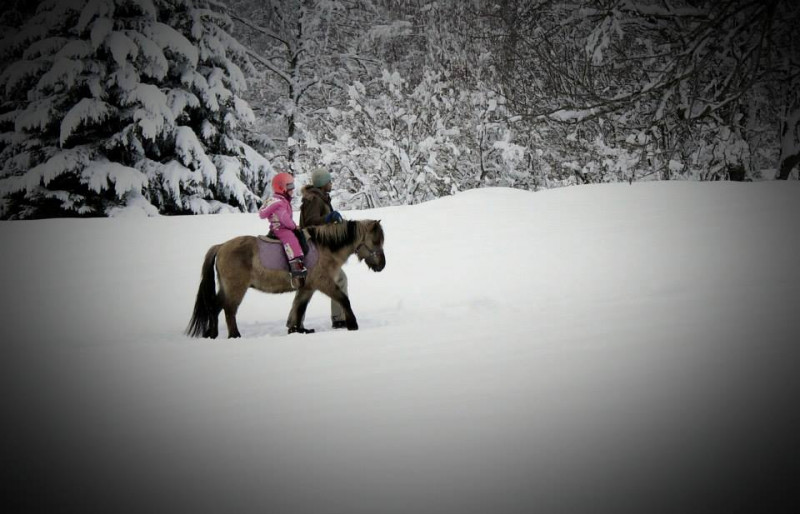 Promenade Poney Hiver