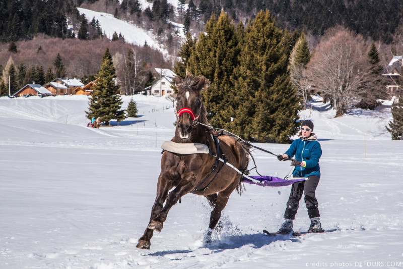 Ski-joëring