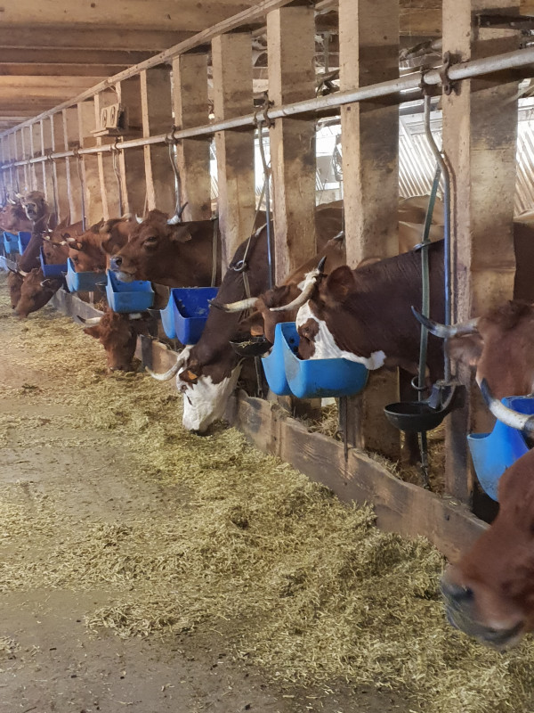 Visite de la ferme