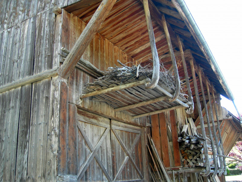 Grange et tavalans
