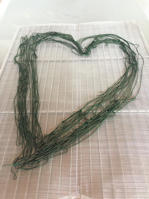 Spiruline des Bauges