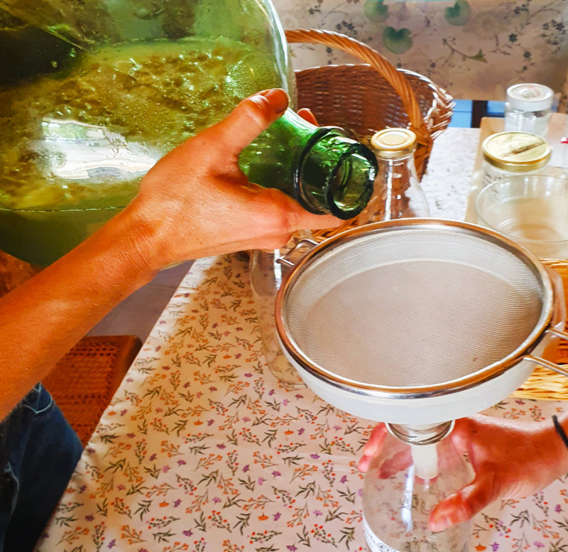Cuisine des plantes sauvages comestibles Chambéry