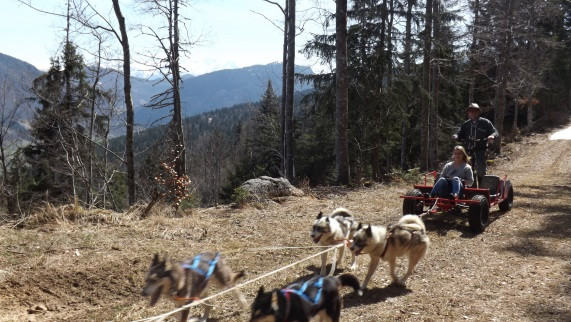 Cani-Kart