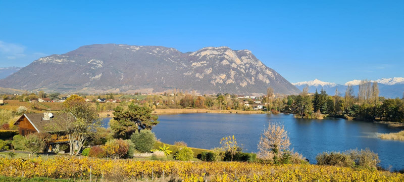 lac St Andre vespa tour