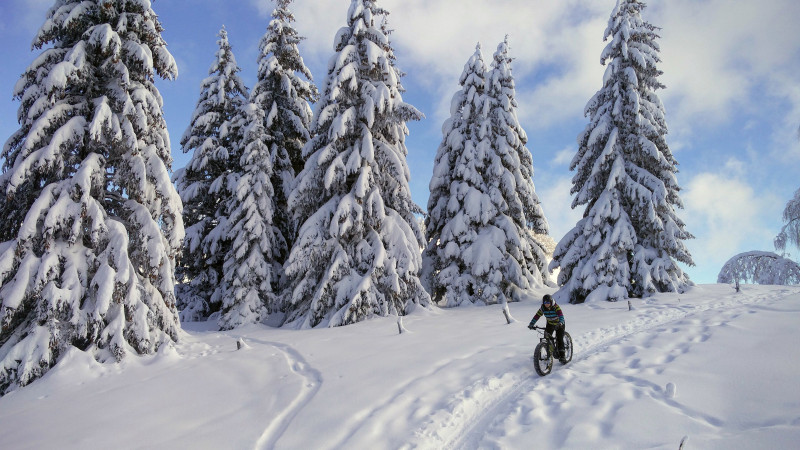 Fatbike