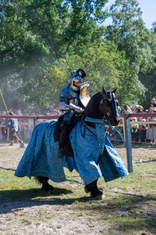 Spectacle équestre