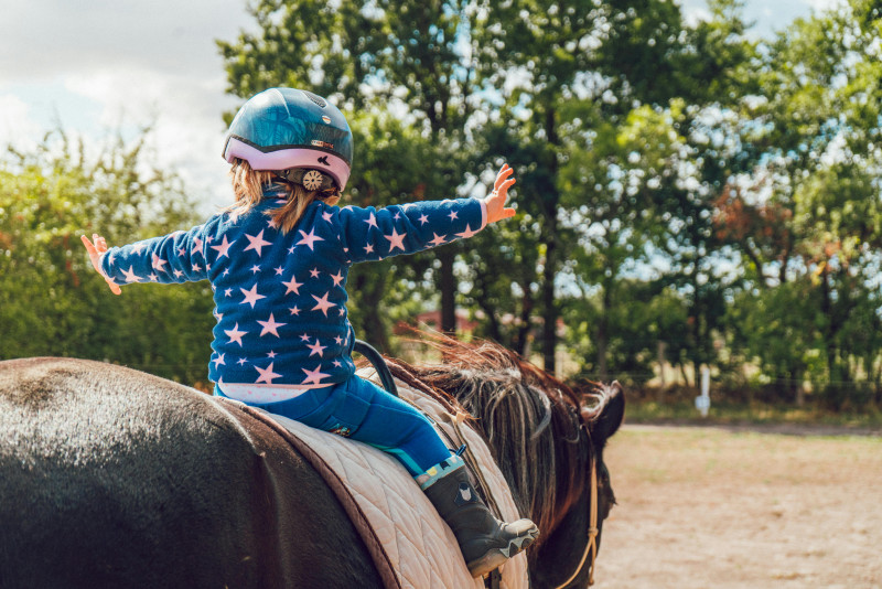 fête du cheval