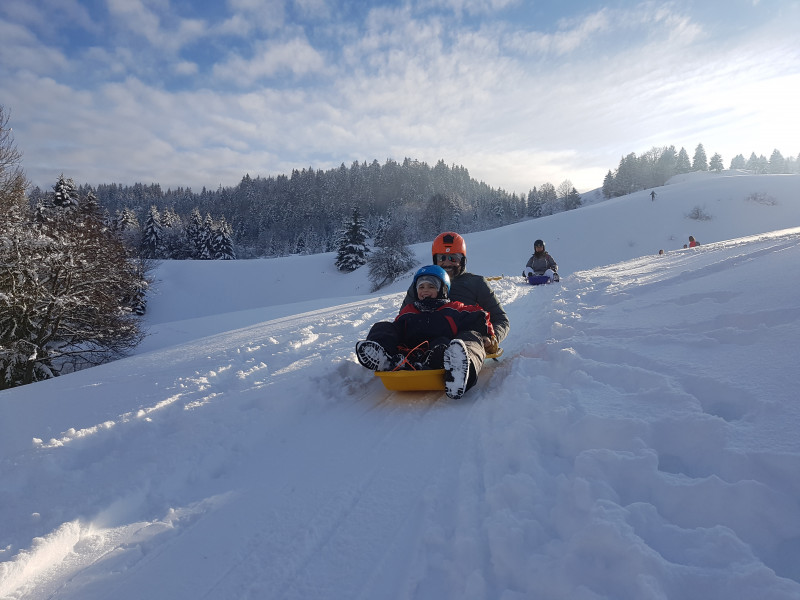 Famille descente en luge à neige dans les alpages