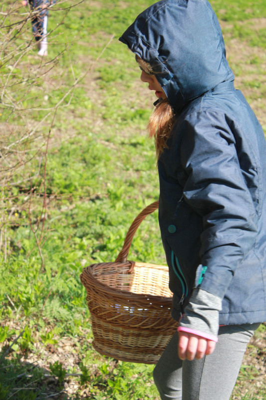 Chasse à l'oeuf