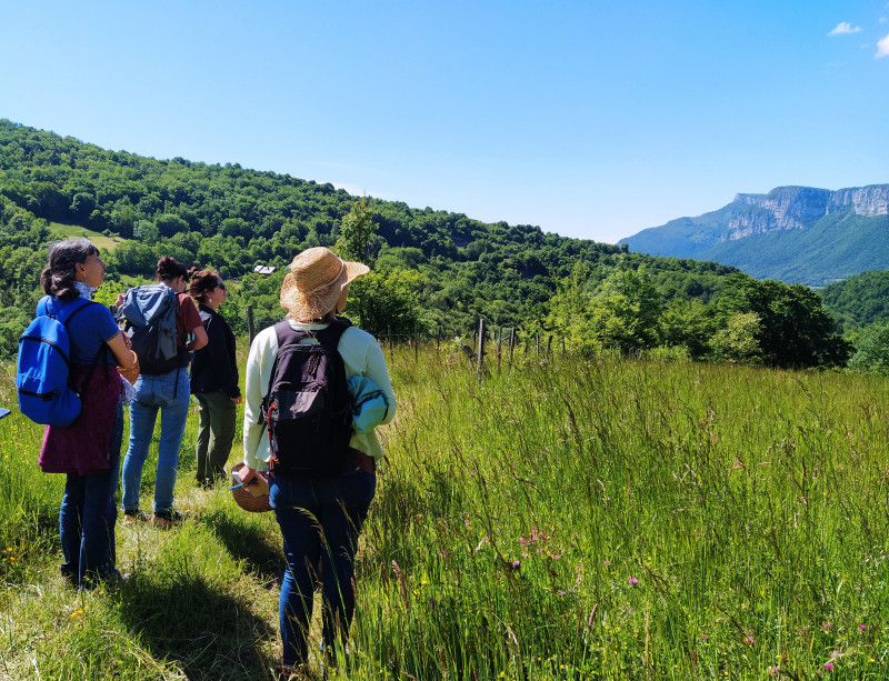 Balade plantes sauvages avec Muriel Lallée