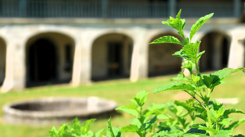 Visite archéo-ado_Aillon-le-Jeune